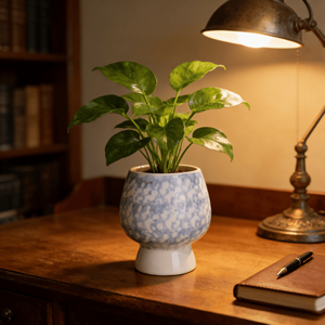 Maceta de Cerámica Azul Cristal de Hielo con Forma de Hongo para Suculentas, con Orificio de Drenaje, Diseño Moderno Ecológico, Pequeña Capacidad - Product Image 5