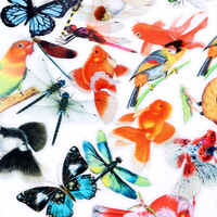 Lot d'autocollants transparents en PET adhésifs, série Bianruo, autocollants décoratifs créatifs en forme de papillon, libellule, pour journalisation