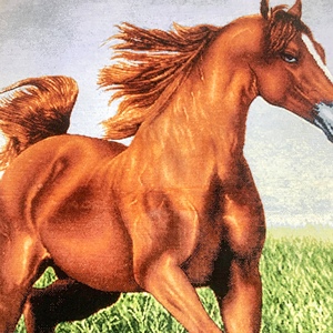 Alfombra de Seda Hecha a Mano de 91x123cm, Tapiz de <span class=keywords><strong>Caballo</strong></span> 100% Seda, Alfombra <span class=keywords><strong>Persa</strong></span> de Seda de la India - Product Image 5