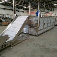 China Fabriek Tekfood Fruit Drogen Productielijn Continue Hetelucht Droger Machine Chili Hetelucht Mesh Band Droogmachine