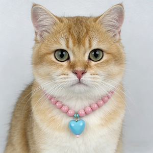 Collar de Corazón Color Caramelo Kawaii para Mascotas, Gargantilla con Cuentas de Estilo Dulce y Colgante de Acrílico con Corazón para Gatos y Perros Pequeños - Product Image 3