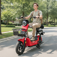 Trottinette électrique transfrontalière 350W avec moteur de moyeu avant, batterie au plomb-acide 48V, 3 vitesses, autonomie 55-65km, à assistance électrique, deux roues