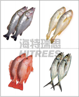 Machine à écailler le poisson en acier inoxydable, machine électrique à écailler le poisson, machine à écailler le poisson