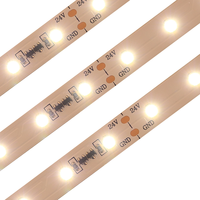 Tira de Luces LED de Corriente Constante de Alta Calidad Cri 97 95 SMD 2835, 12v 24v CC SMD 2835