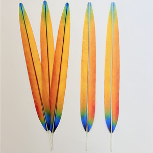 Plumas Artificiales Teñidas de Faisán y Guacamayo de 30cm-150cm para Decoración de Tocados de Carnaval, Samba, Burlesque y Azteca - Product Image 5