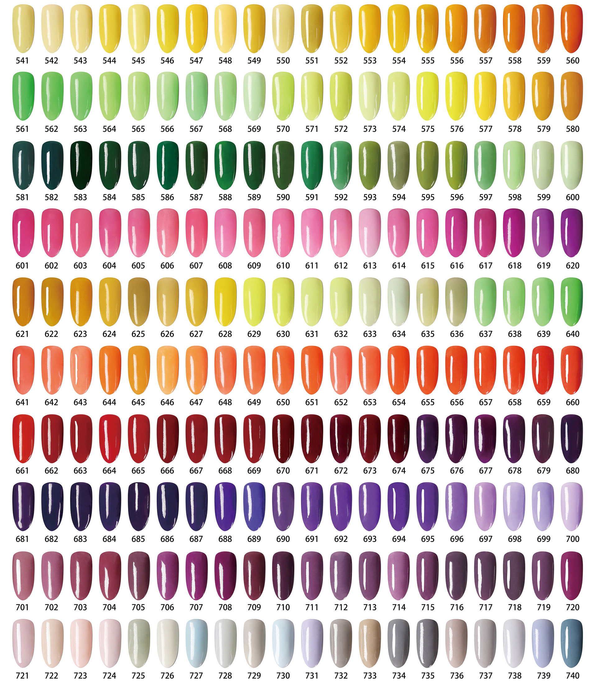 #Color 04