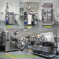 Automatische Multi Track VFFS Fruit Flavour Drink Poeder Stick Verpakkingsmachine 5-baans Elektrolyt Drink Mix Verpakkingsmachine
