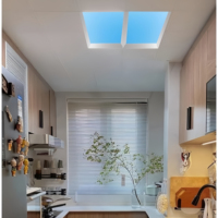 Moderne 600*600mm LED Panneau Lampes Nouveau Virtuel Sunlight Skylight App Dimmable Plafond à Distance pour Bureau Boutique Artificiel Naturel