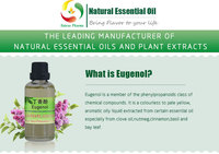 Huile Essentielle d'Eugénol en Gros, Eugénol Naturel de Plante pour Diffuseur d'Arômes et Matière Première pour Huile de Massage