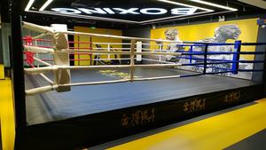 Mini Material <span class=keywords><strong>De</strong></span> Boxe Ring <span class=keywords><strong>De</strong></span> Boxe Prix Flexible Professionnel <span class=keywords><strong>4X4</strong></span> Ocasión Portátil Thai Championnat - Product Image 3