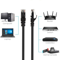 Câble réseau intérieur non blindé HOTION 26AWG CCA RJ45 Plug Cat6 UTP 8 conducteurs, gaine en PVC noir, cordon de raccordement Ethernet