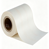 Película de Poliéster en Oferta, Materiales de Aislamiento Flexibles, Papel de Aislamiento Nomex Dupont 6640 NMN para Transformadores de Potencia y Motores