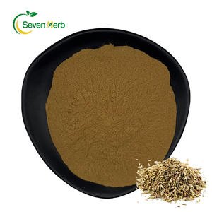 純粋な天然有機リークシードエキス粉末10:1 20:1リークシードエキスアリウムチューベロサムエキス - Product Image 2