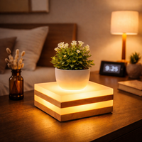 Lampe de sol moderne à LED pour plantes, support en bois pour pot de fleurs, lampe de bureau pour éclairage d'ambiance intérieur