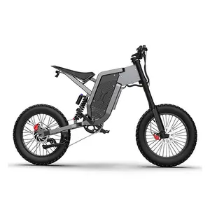 20 pulgadas Fat Tire 2000W 48V 35AH Batería de litio Freno hidráulico doble Pantalla LCD Aleación de aluminio eBike X21 Bicicleta eléctrica para adultos