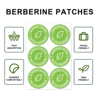 Patchs transdermiques OEM personnalisés à libération prolongée de berbérine, 30 unités, à base de plantes naturelles pour le bien-être