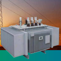 Transformateur de distribution de puissance triphasé 10 kV immergé dans l'huile, haute efficacité, 50 Hz