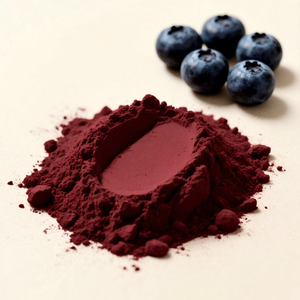 Fabriekslevering Biologische Bosbessensap Poeder Natuurlijke 25% Bosbessen Extract Poeder Anthocyanine - Product Image 1