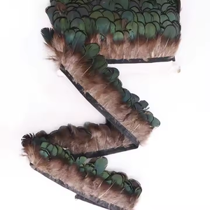 <strong>Pheasant</strong> Feather <strong>White</strong> Lady Amherst <strong>Pheasant</strong> Head Feather Fringe Trims Green <strong>Pheasant</strong> Feather Trims for Clothing Decoration - Product Image 4