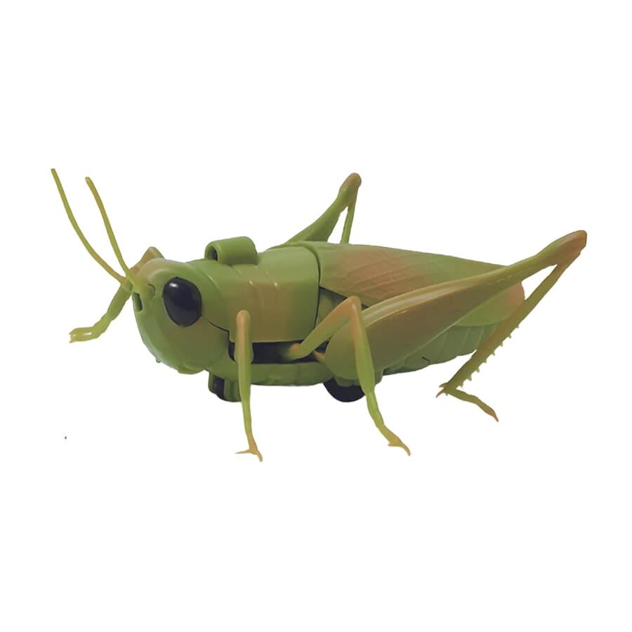 Plastic Grasshoppers Solar Powered Grasshopper Toys Funny