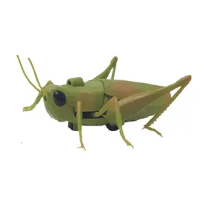 塑料昆虫玩具RC蚱蜢遥控草斗动物玩具电子蝗虫车儿童礼品