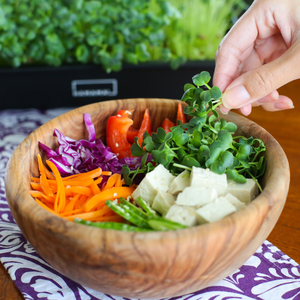 Stile Country Ultimate <span class=keywords><strong>Bamboo</strong></span> Microgreen Starter Kit di utilizzo del pavimento Design per la casa centro commerciale appeso sistema di <span class=keywords><strong>semina</strong></span> - Product Image 5