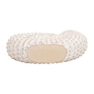 Scultura in Conchiglia Intrecciata, Statua Decorativa per Casa, Bagno, Ufficio, Soggiorno - Product Image 6
