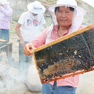 Panal <span class=keywords><strong>de</strong></span> <span class=keywords><strong>Miel</strong></span> <span class=keywords><strong>de</strong></span> <span class=keywords><strong>Abeja</strong></span> Cruda <span class=keywords><strong>de</strong></span> Fábrica, Panal <span class=keywords><strong>de</strong></span> <span class=keywords><strong>Miel</strong></span> <span class=keywords><strong>de</strong></span> Sidr Pura <span class=keywords><strong>de</strong></span> Alta Calidad, <span class=keywords><strong>Miel</strong></span> <span class=keywords><strong>de</strong></span> <span class=keywords><strong>Abeja</strong></span> Natural <span class=keywords><strong>de</strong></span> Primera Clase al por Mayor - Product Image 5