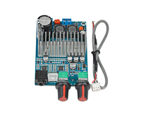 TPA3116 Carte d'amplificateur de caisson de basses TPA3116D2 Amplificateurs audio 100W DC12-24V de sortie basse