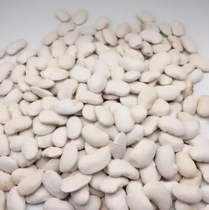 Fresh White Kidney Beans Are Sold Wholesale With A High Sugar Content