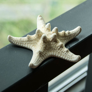 5-8 cm Naturale Mediterraneo Sea Stars Carino Mini Stelle Marine Decorazione del Mestiere di DIY Conchiglie Sulla Spiaggia Cottage Bambini Arredamento Camera Da Letto ornamenti - Product Image 3