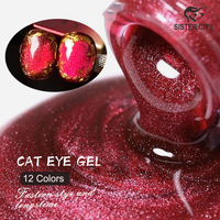 Vernis à ongles gel UV magnétique effet œil de chat français – Bouteille écologique, pour salon et usage domestique, longue tenue, non toxique