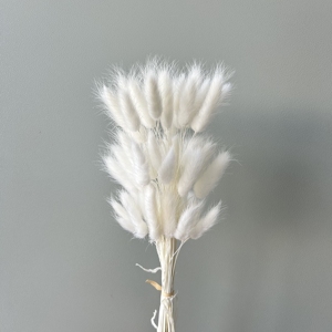 ZanTe En gros Herbe décorative séchée <span class=keywords><strong>Lagurus</strong></span> Ovatus 60 têtes multicolores, Herbe queue de lapin - Product Image 3