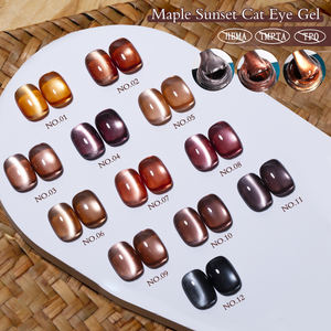 ZRKGEL Usine OEM/ODM – Kit de vernis à ongles gel œil de chat 12 couleurs pour l'automne, marque <span class=keywords><strong>privée</strong></span>, haute pigmentation, magnétique, UV/LED – Fournisseur de gels à ongles - Product Image 1