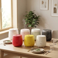 Mini-cuiseur à riz électrique intelligent personnalisé, en plastique, 2L, 400W, professionnel, automatique, écologique, portable et polyvalent