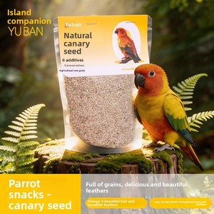 Nourriture pour oiseaux au <span class=keywords><strong>millet</strong></span> pur naturel, riche en protéines, sans additifs, pour calopsites, perruches, conures à joues vertes, en vrac, OEM - Product Image 5