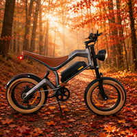 Vélo électrique à gros pneus M20, 48V 15.6Ah, VTT tout-terrain, 7 vitesses, USA, UK, UE, vente en gros, stock disponible, OEM, ODM