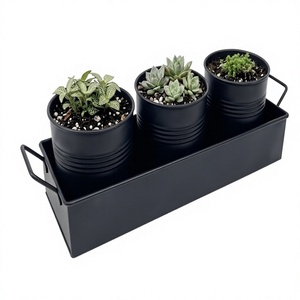 Juego de Macetas Metálicas Minimalistas con 3 Macetas y Bandeja para Suculentas y Plantas Verdes de Interior, Uso en Escritorio, Acabado con Recubrimiento en Polvo - Product Image 1