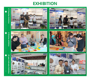 Scellés <span class=keywords><strong>de</strong></span> sécurité jetables en plastique <span class=keywords><strong>de</strong></span> 40 cm anti-effraction pour jardins, banques, logistique, conteneurs et vêtements - Product Image 6