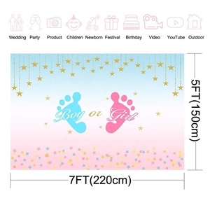 Fondale per Festa di Rivelazione del Sesso 7x5ft, Sfondo in Vinile con Piedini Maschietto o Femminuccia, Rosa e Blu con Piccole Stelle per Baby Shower - Product Image 3