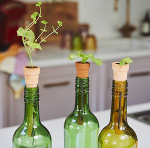 Jardinières à herbes en terre cuite à poser sur bouteille, pots à graines en terre cuite, jardinières d'intérieur pour herbes aromatiques, pots à herbes pour <span class=keywords><strong>rebord</strong></span> <span class=keywords><strong>de</strong></span> <span class=keywords><strong>fenêtre</strong></span> - Product Image 3