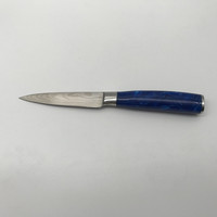 3,5 inch laser Damascus staal keukenmes voor het schillen van fruit met hars handvat