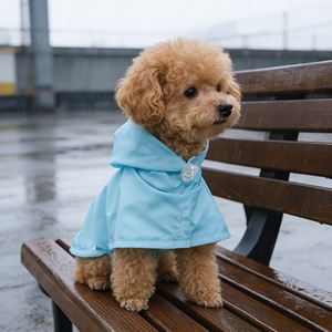 เสื้อกันฝนสำหรับสัตว์เลี้ยงสำหรับสุนัขขนาดกลางขนาดเล็กแมวกันน้ำกันลมปกปิดหน้าท้องสีฟ้าโพลีเอสเตอร์สี่ฤดูกาลสวมใส่กลางแจ้ง - Product Image 2