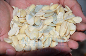 Sbucciatrice Industriale a Rullo per Noci |   Macchina per Sbucciare e Sgusciare Arachidi e Mandorle - Product Image 5