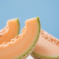 Poudre d'extrait de cantaloup 100% naturelle, best-sellers, qualité alimentaire, poudre de melon Hami