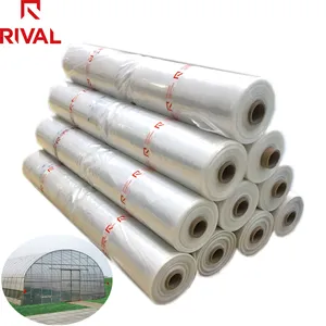 UV 200-250 Mic Green House Polyethylene Film Greenhouse 6 Mil Plastic Roll Cover