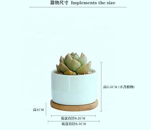Vente <span class=keywords><strong>en</strong></span> gros bon marché de mini jardinière ronde blanche <span class=keywords><strong>en</strong></span> céramique avec plateau <span class=keywords><strong>en</strong></span> bambou pour la décoration intérieure et le jardin - Product Image 6