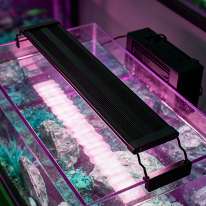 Plantaardige aquariumverlichting Volspectrum LED Visbakverlichting Dimbaar Microgreen Mariene/<span class=keywords><strong>reef</strong></span> <span class=keywords><strong>Aquarium</strong></span> LED Verlichting - Product Image 2