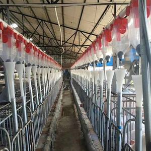 Sıcak daldırma galvanizli domuz yetiştiriciliği ekipmanları sows gestasyon kasaları domuz kafesleri - Product Image 5