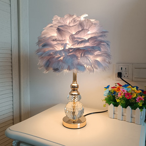 Modern White Pink <strong>Grey</strong> Crystal Feather <strong>Lamp</strong> LED Creative Pearl Goose Feathers for Bedroom Decoration E27 Bedside <strong>Floor</strong> <strong>Lamp</strong> - Product Image 3